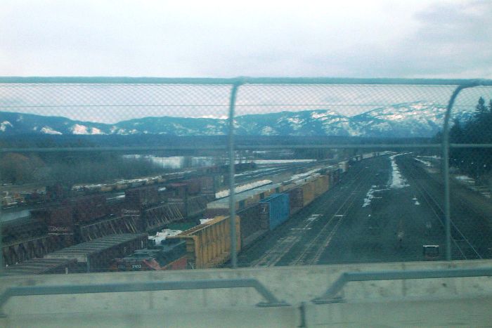 Whitefish yard