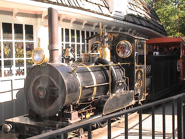 Wild Kingdom Train Houston