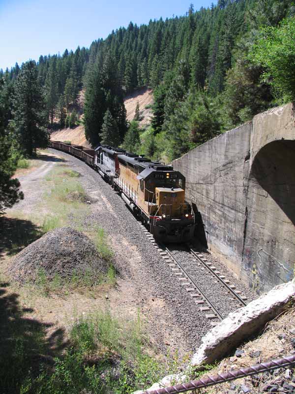 Williams Loop