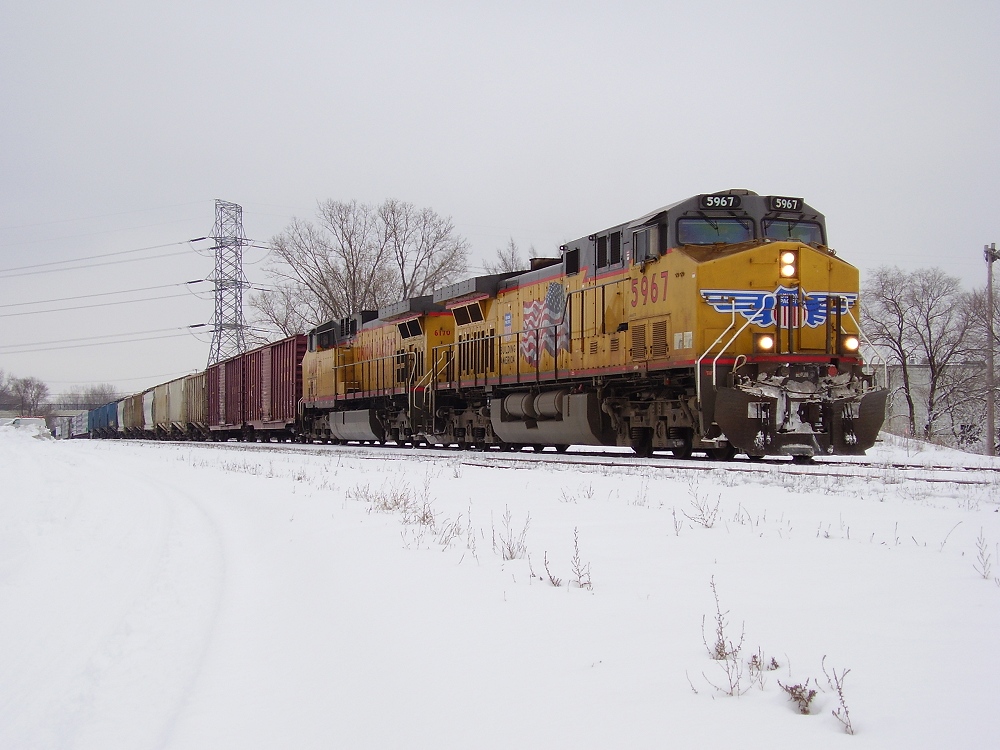 Wings and Snow