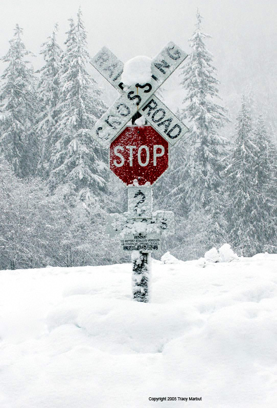 Winter-Stevens Pass