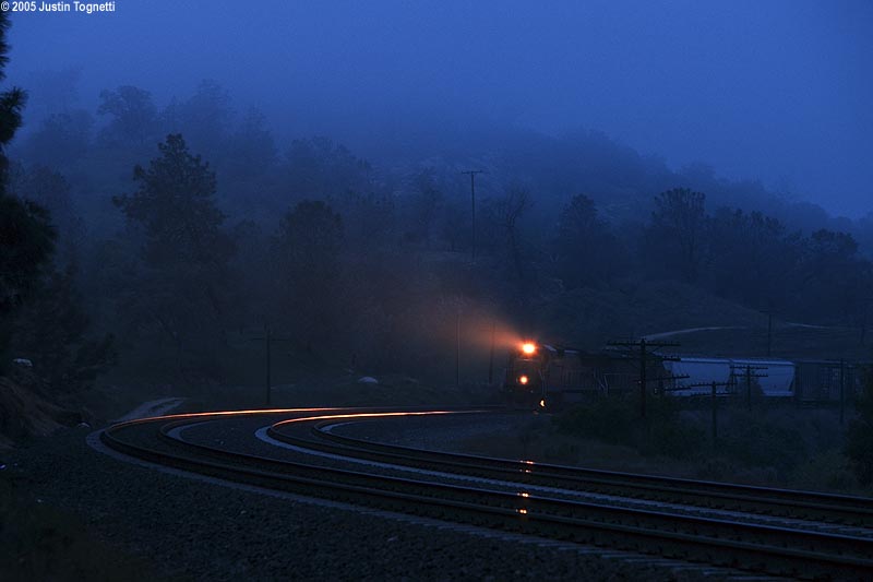 Woodford fog