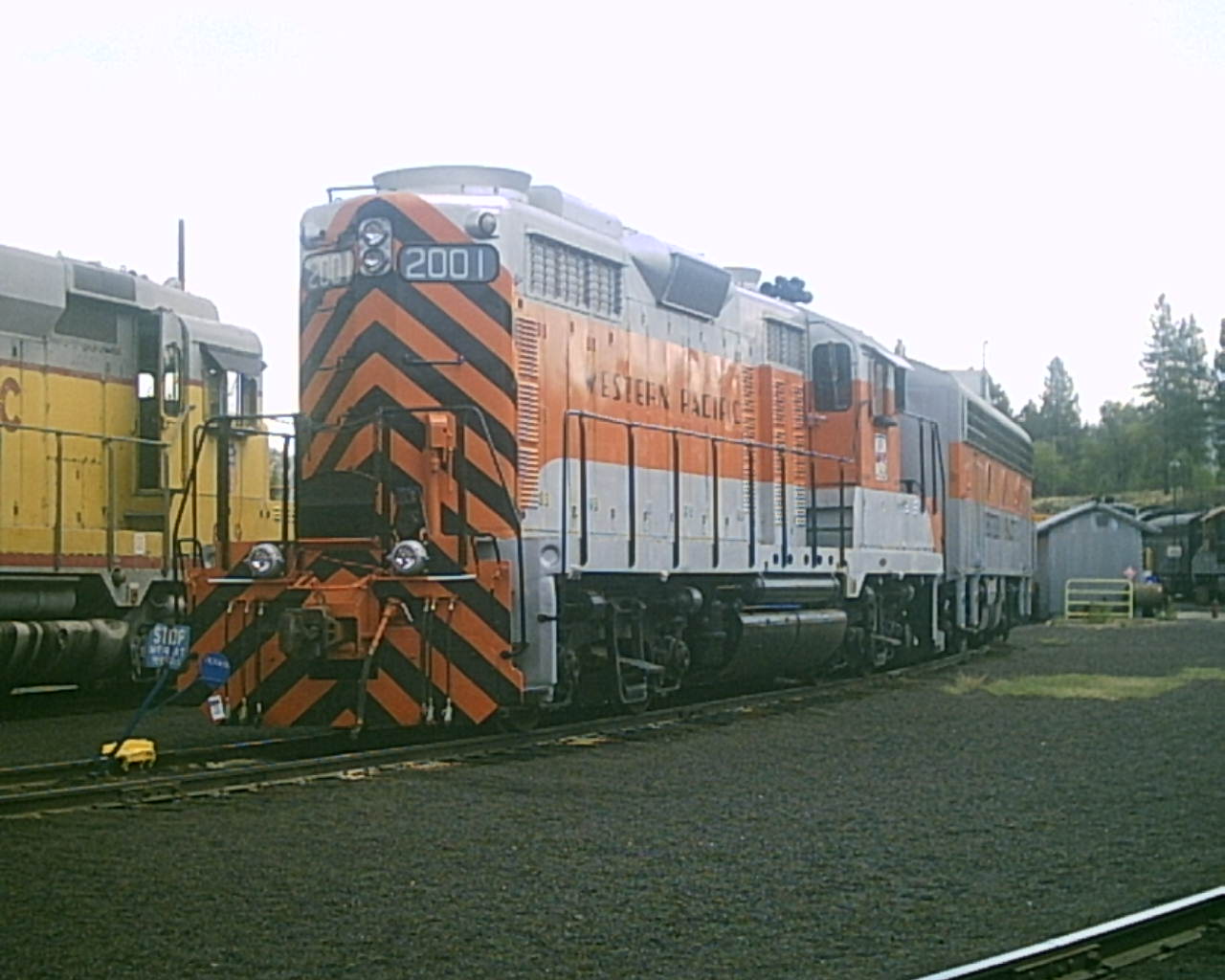 wp  2001