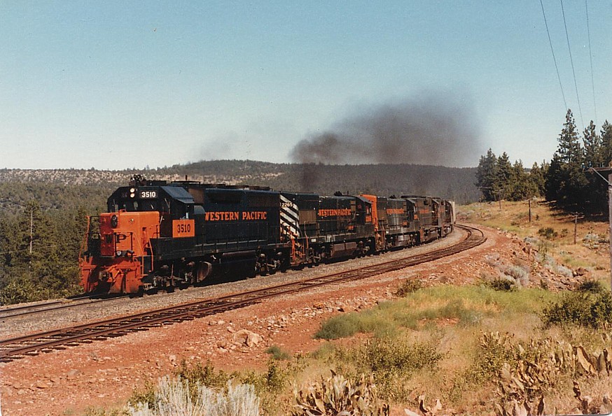 WP 3510