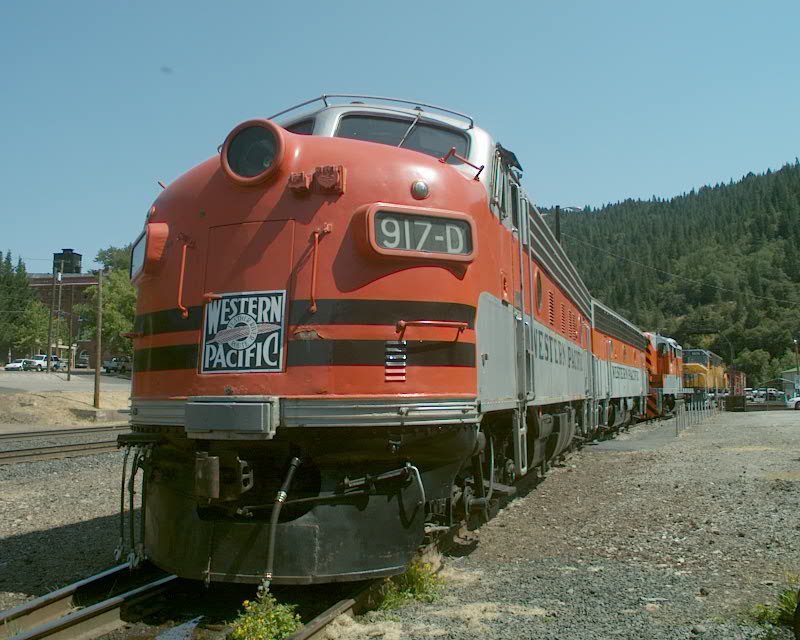 WP 917-D