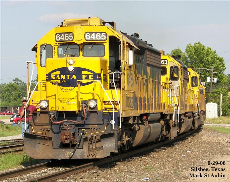 Yellow Bonnets
