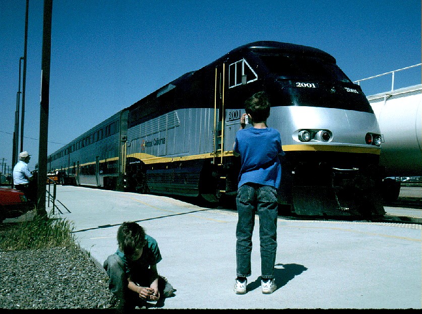 Young and old