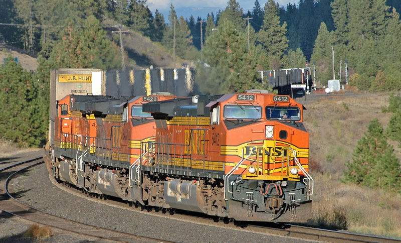 ZCHC-PTL in The Marshall Canyon