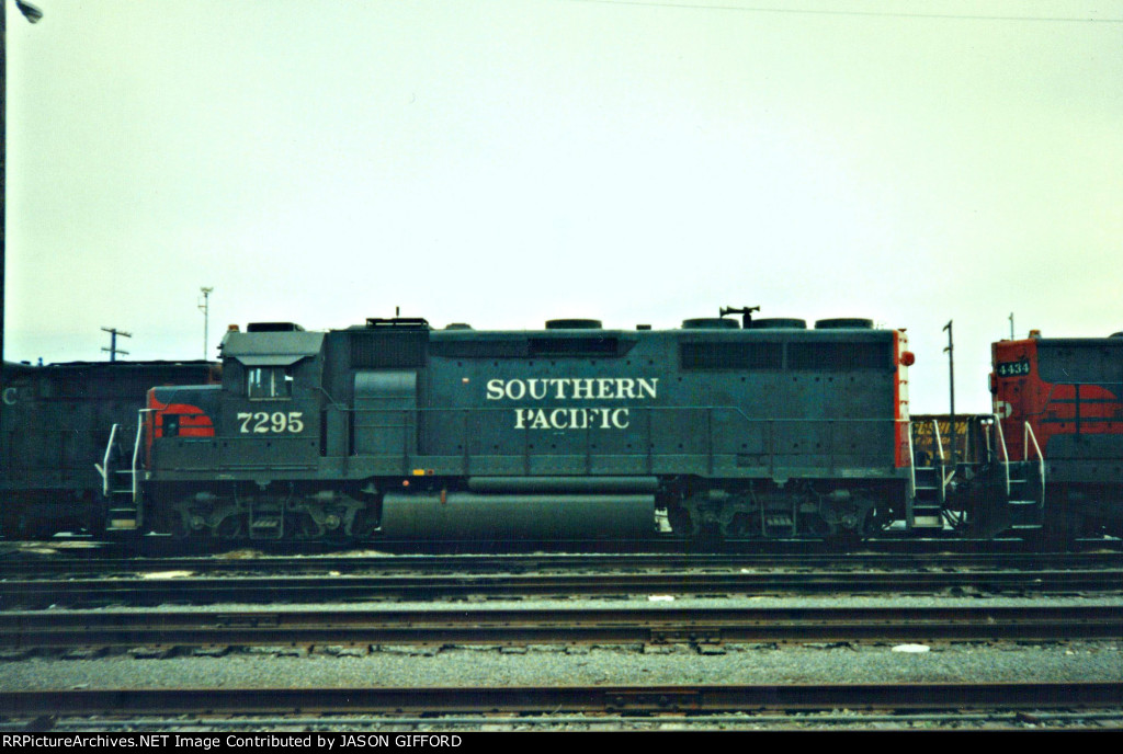 SP7295.jpg