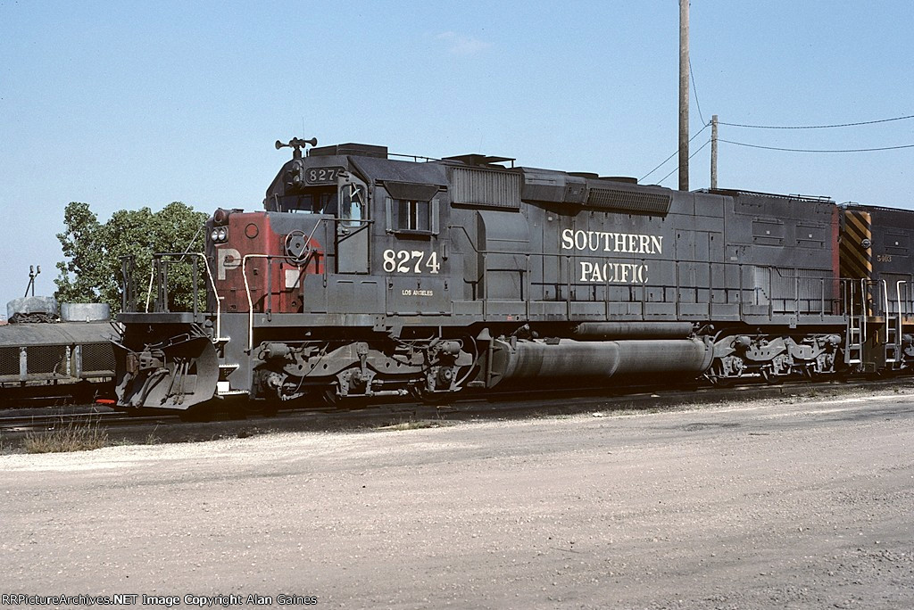 8274.jpg