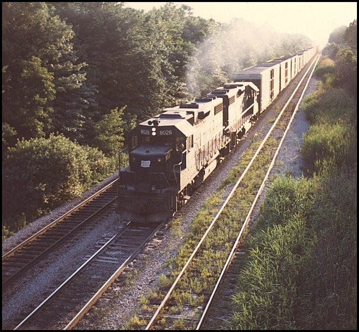 pc8026.jpg