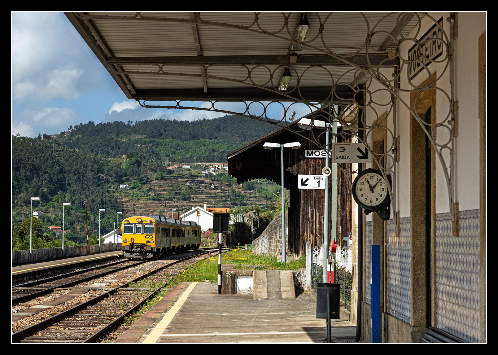 port240136.jpg