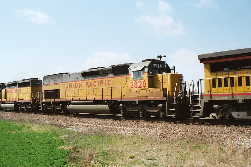 20020413pic49.jpg