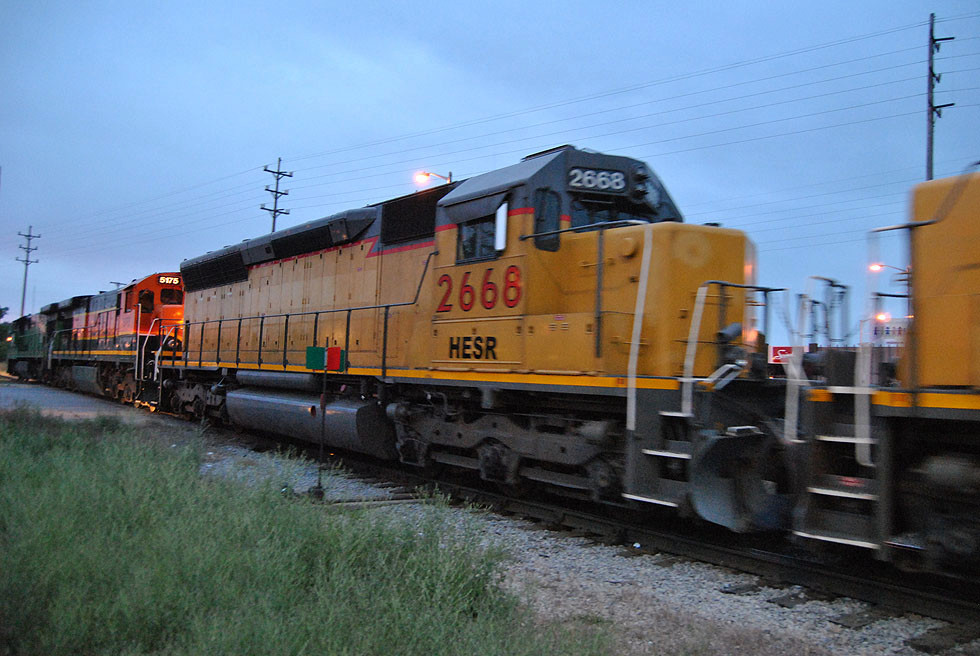 DSC_5443.jpg