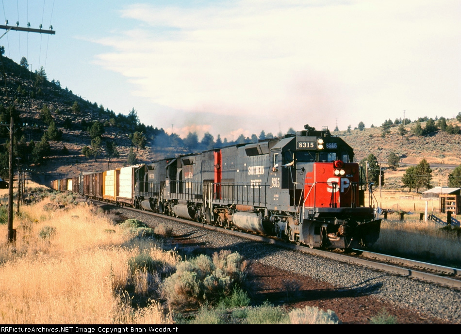 SP8315-1.jpg