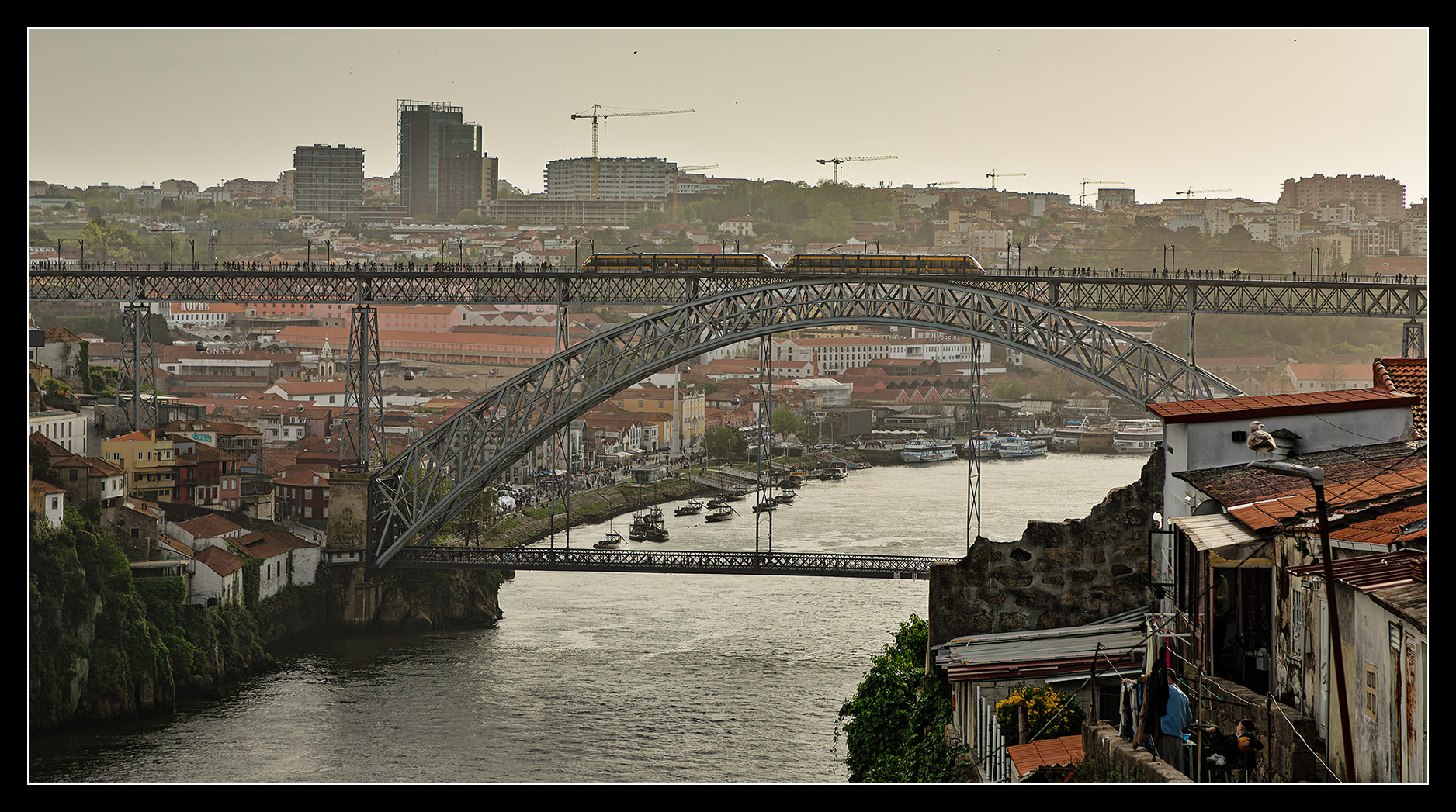 port240146.jpg