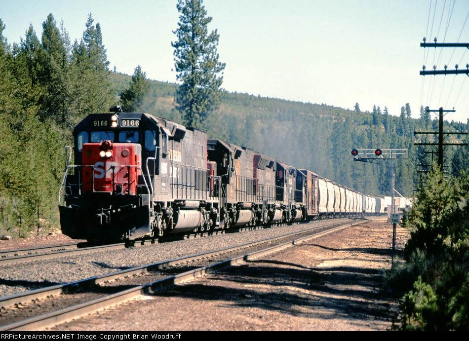 SP9166-1.jpg
