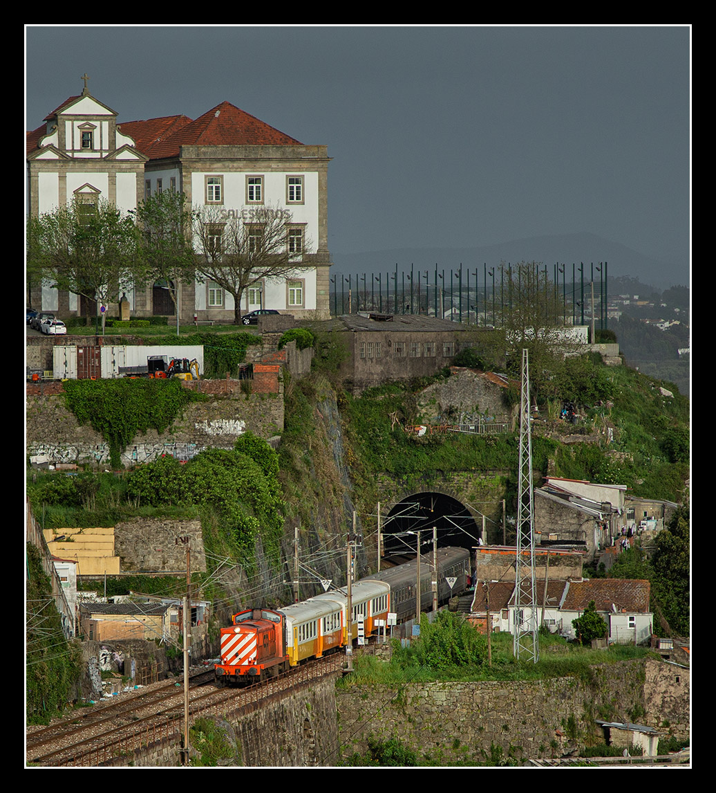 port240148.jpg