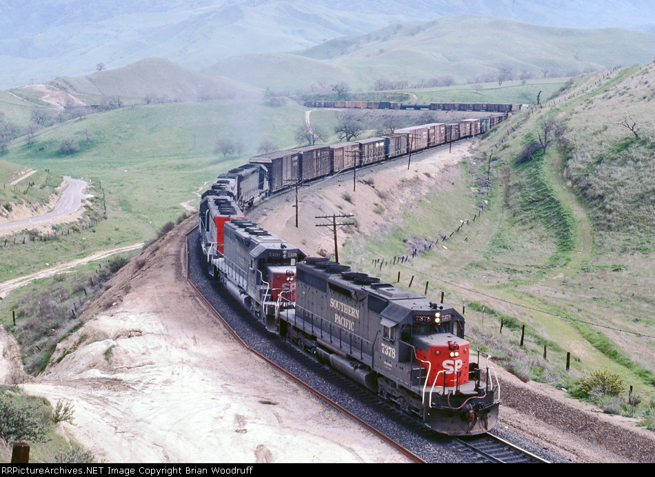 SP7378-1.jpg