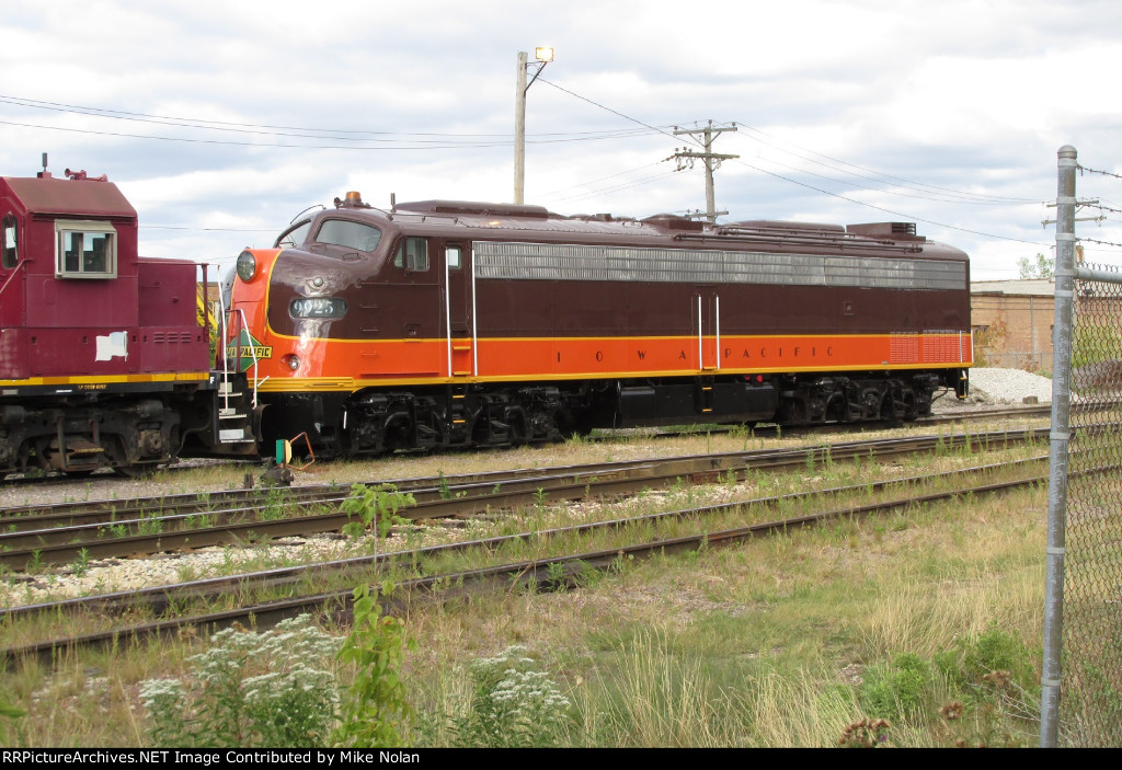 9925.jpg