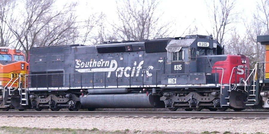 nrex8315.JPG