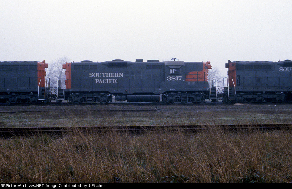 1981-02-09-p5-black-0411.jpg